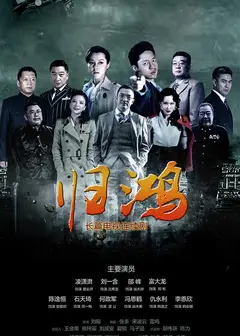 归鸿网络版