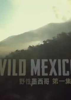 野性墨西哥