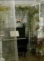 寒星1992