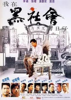 我在黑社会的日子