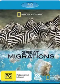 大迁徙