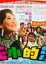 泪的小花