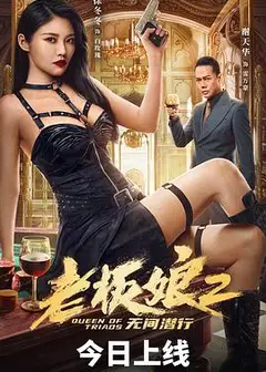 老板娘2无间潜行
