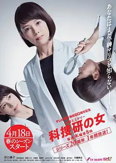 科搜研之女   第19季