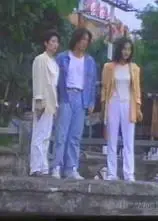 猛龙特警之天罗地网(普通话版)