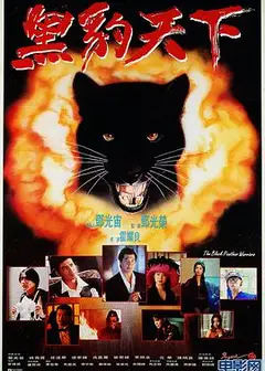 黑豹天下