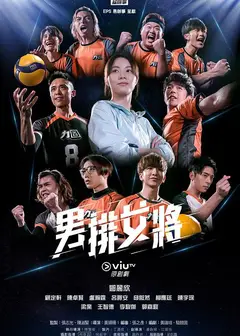 男排女将