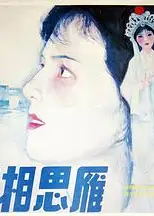 风雨相思雁