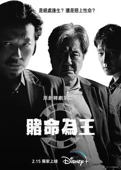 赌命为王第二季