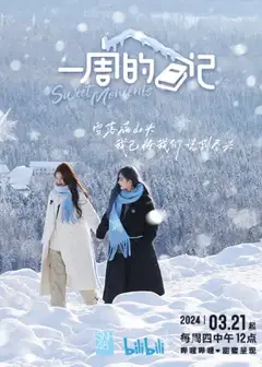 一周的日记