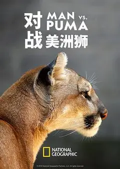 对战美洲狮