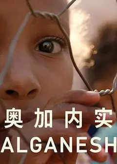 奥加内实