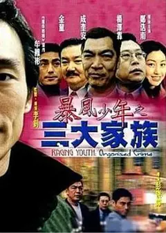 暴风少年之三大家族