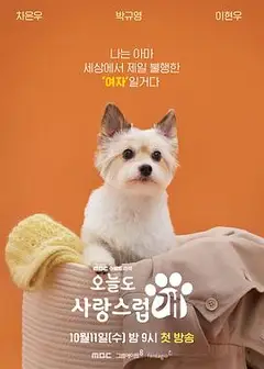 今天也很可爱的狗