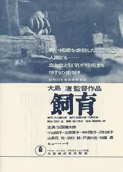 饲育