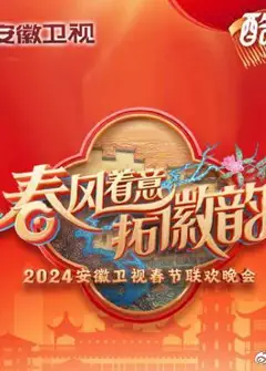 2025安徽卫视春晚