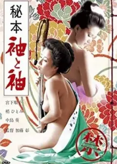 秘本袖与袖