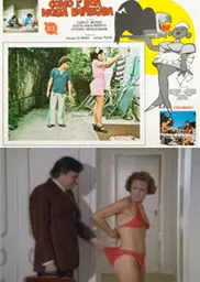 家有俏女仆