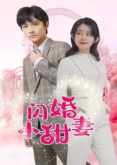 闪婚小甜妻