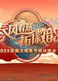 2024安徽春晚