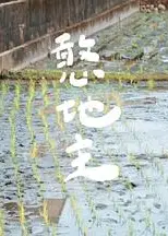 憨地主