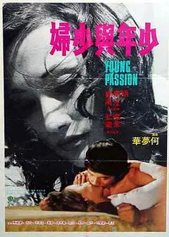 少年与少妇