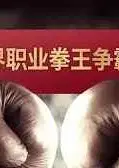 世界职业拳王争霸赛