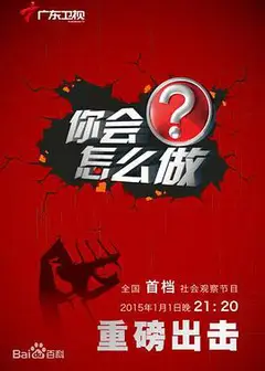你会怎么做