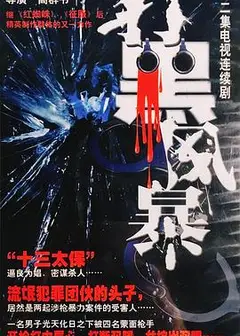 打黑风暴