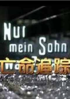 亡命追踪（国语版）