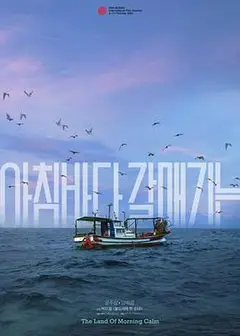 晨海的海鸥
