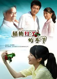 杨梅红了的季节