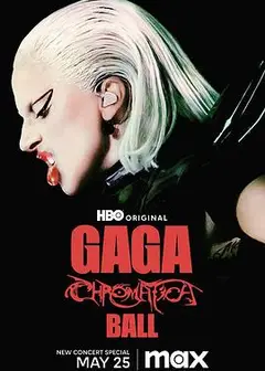 Lady Gaga：神彩巡回演唱会