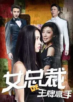 女总裁的王牌高手