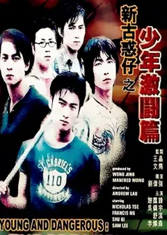 新古惑仔之少年激斗篇