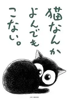 为什么猫都叫不来