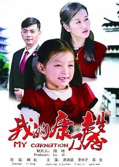 我的康乃馨