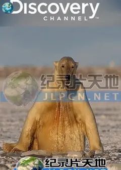 动物绝技大公开