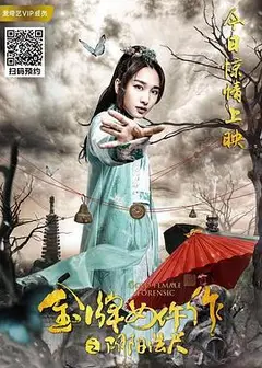 金牌女仵作之阴阳法尺