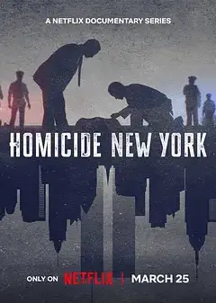 凶杀重案实录：纽约第二季