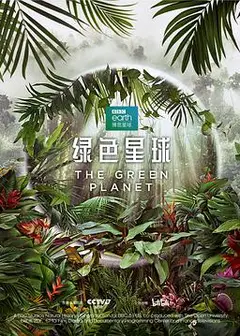 绿色星球