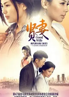 贤妻2013