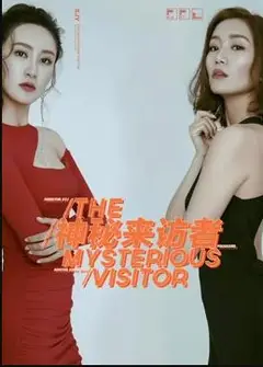神秘来访者