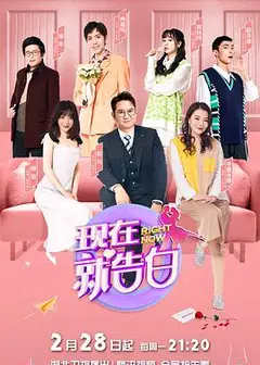 现在就告白第五季