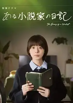 某小说家的日记