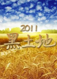 黑土地2021