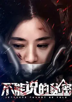 不能说的秘密