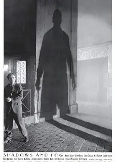 影与雾