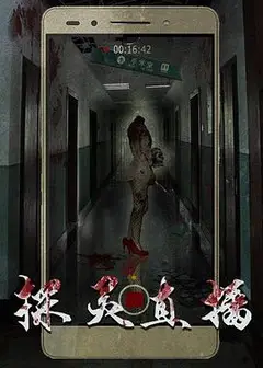探灵直播