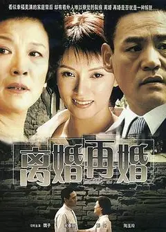离婚再婚